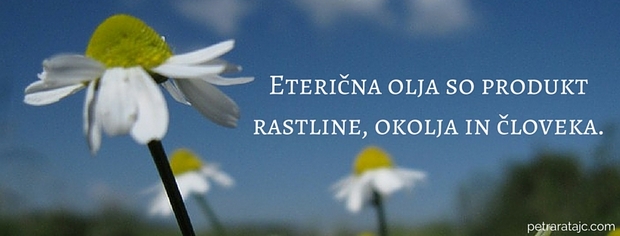 EO - produkt rastline okolja in cloveka