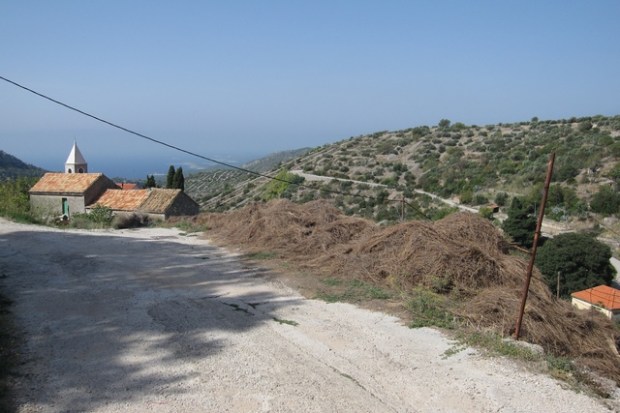 hvar sivka lavandin destilacija