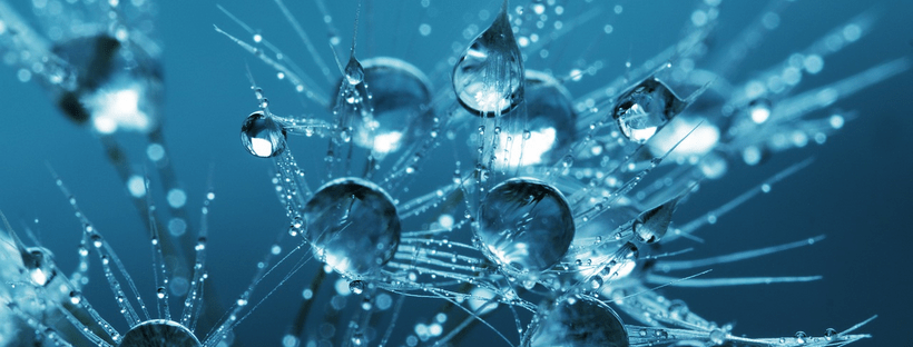 hidrolati zmote hlapne snovi