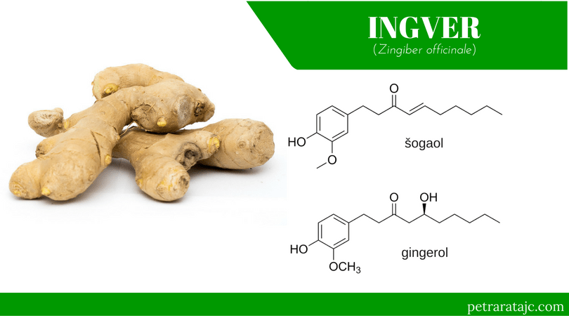 ingver etericno olje co2