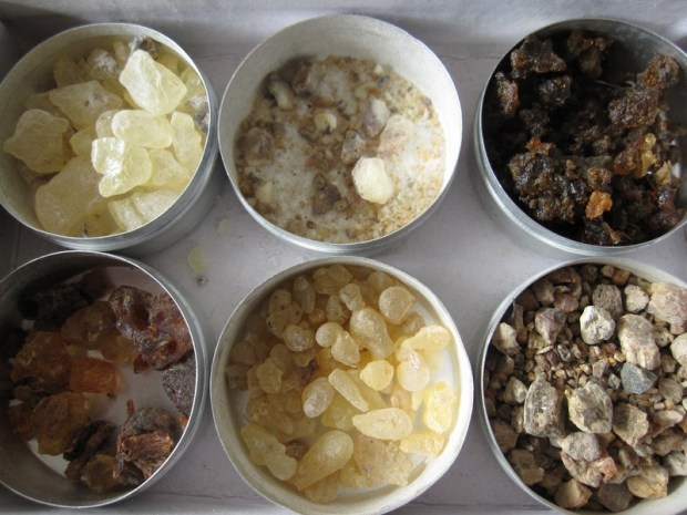 frankincense kadilna bosvelija smola
